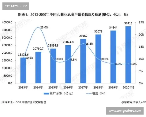 足球转会市场需求分析:影响因素、趋势预测与俱乐部策略解析 足球转会市场需求分析:影响因素、趋势预测与俱乐部策略解析