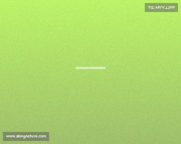 德容力挺特尔施特根称其为巴萨队长核心角色 德容力挺特尔施特根称其为巴萨队长核心角色