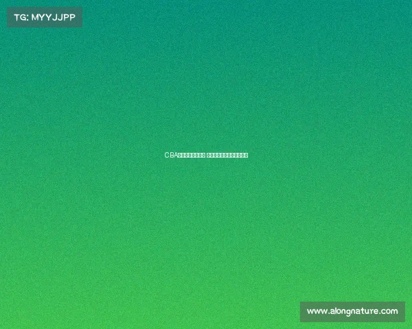 CBA全明星赛亮点纷呈 球星巅峰对决引爆全场激情 CBA全明星赛亮点纷呈 球星巅峰对决引爆全场激情