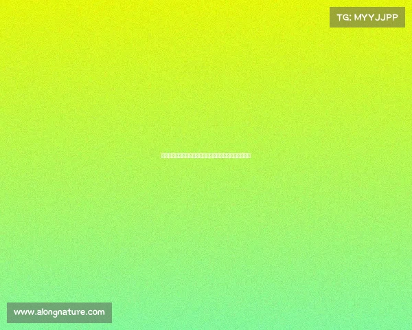 足球转会合同条款解析与市场趋势对俱乐部策略的影响分析 足球转会合同条款解析与市场趋势对俱乐部策略的影响分析