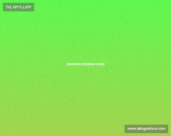 欧冠老将再度披上战袍 助力球队冲击巅峰荣耀 书写传奇篇章 欧冠老将再度披上战袍 助力球队冲击巅峰荣耀 书写传奇篇章