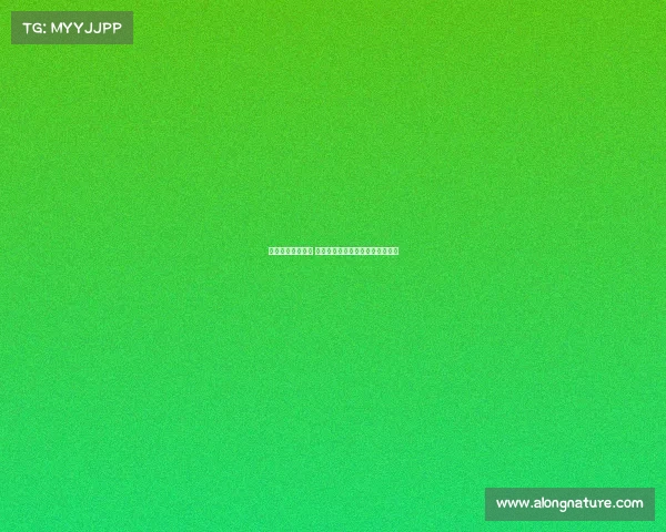 网球赛场风云突变 知名选手因伤退赛引发关注与讨论 网球赛场风云突变 知名选手因伤退赛引发关注与讨论