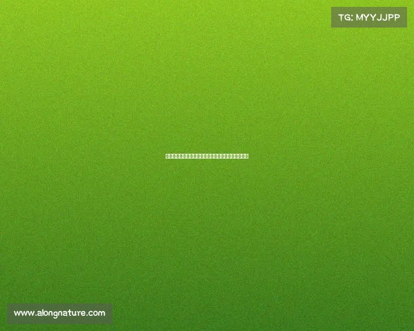 足球球员转会协议管理与优化方案研究及实施路径分析 足球球员转会协议管理与优化方案研究及实施路径分析