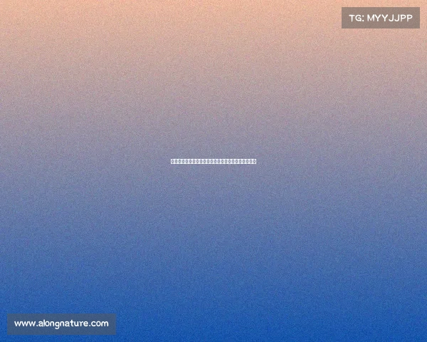 马雷斯卡:胜利和埃斯特旺进球让今晚成为完美的夜晚