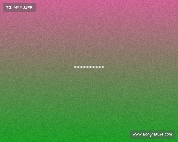 西甲激战落幕:各队表现回顾与赛季走向分析 西甲激战落幕:各队表现回顾与赛季走向分析