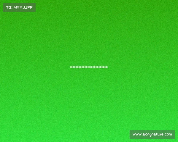 足球球员租借转会流程全解析 从谈判到正式加盟的每一步 足球球员租借转会流程全解析 从谈判到正式加盟的每一步