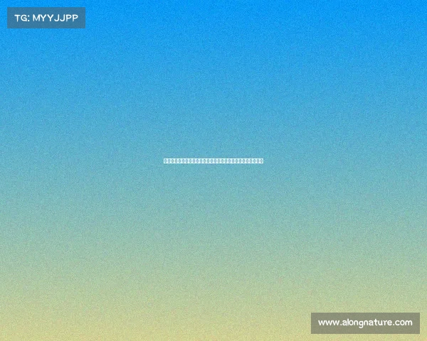 西甲球队赞助商分析：商业合作模式与品牌价值提升的多元探索