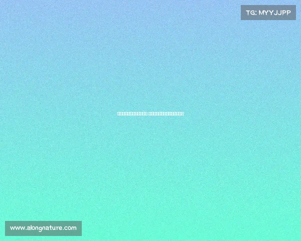 西甲精彩对决全场回放分析 每一刻紧张激烈的瞬间不容错过