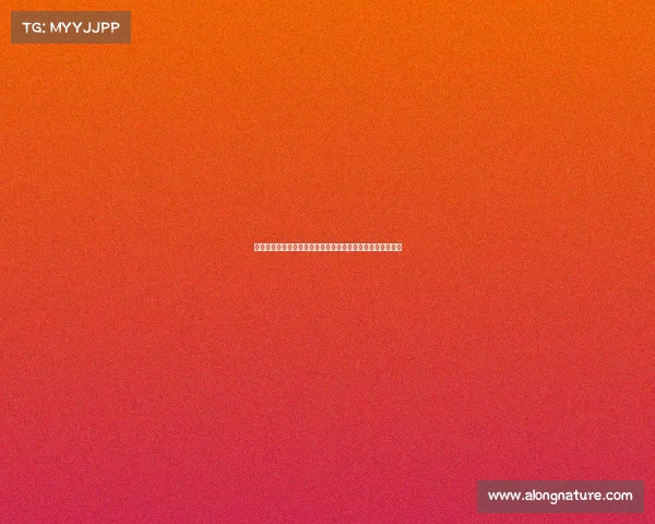 足球转会代理合同的核心内容与条款解析及法律风险防范措施