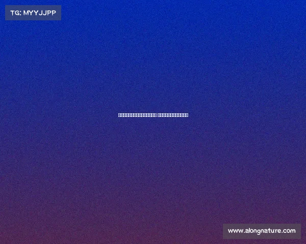 阿森纳新赛季阵容解析与战术布局 深度剖析球队未来发展方向