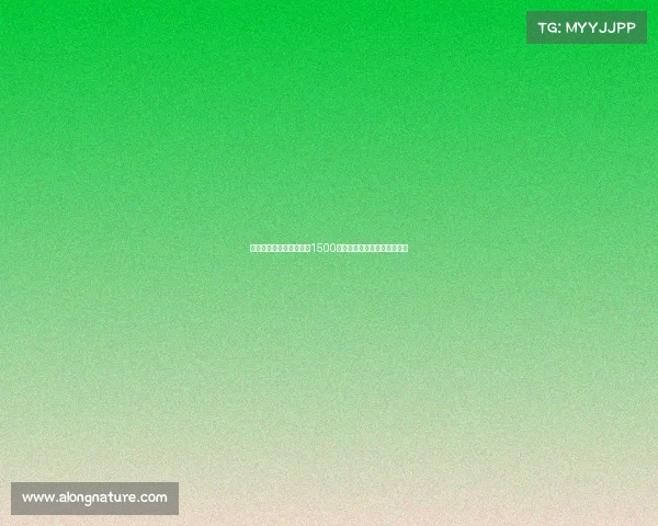 黄潜左后卫卡多纳违约金1500万欧缺左后卫豪门可重点关注