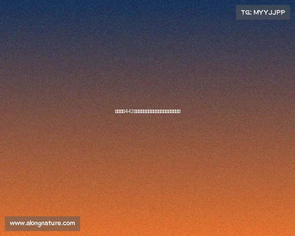 西甲经典442阵型解析及其在现代足球中的战术演变分析 西甲经典442阵型解析及其在现代足球中的战术演变分析