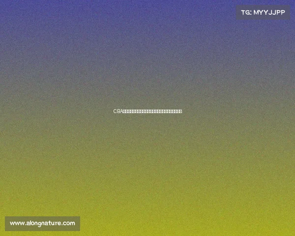 CBA决赛强强对话焦点聚焦冠军之争两支豪强谁能问鼎巅峰