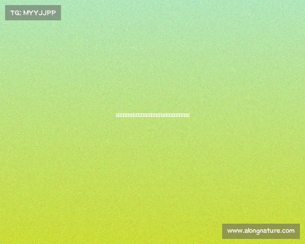 网球赛场高潮迭起紧张时刻每一次回合都可能决定胜负的激烈对决 网球赛场高潮迭起紧张时刻每一次回合都可能决定胜负的激烈对决