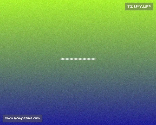 西甲球队赞助商分析：探讨赞助商对俱乐部品牌影响及合作模式