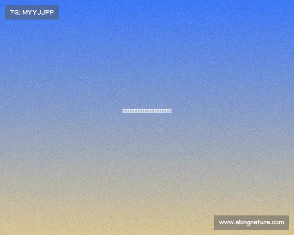 足球球员续约合同签订全过程解析及注意事项