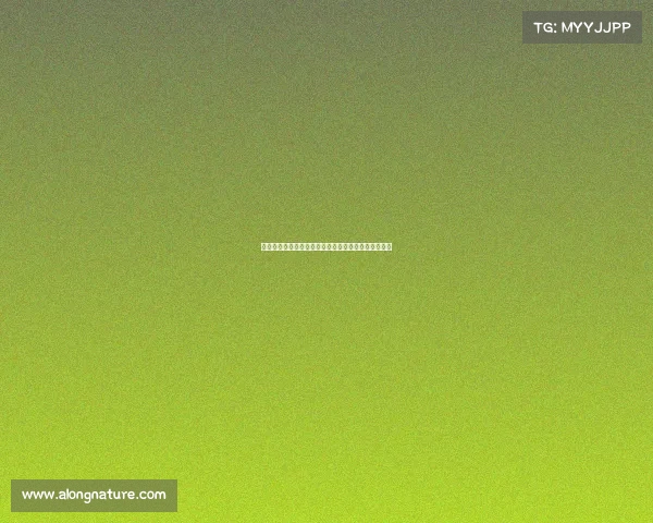 欧冠入场仪式：荣耀与激情交织的视觉盛宴与情感共鸣