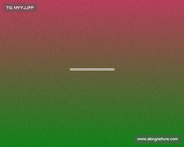 网球赛场高潮迭起紧张时刻每一次回合都可能决定胜负的激烈对决