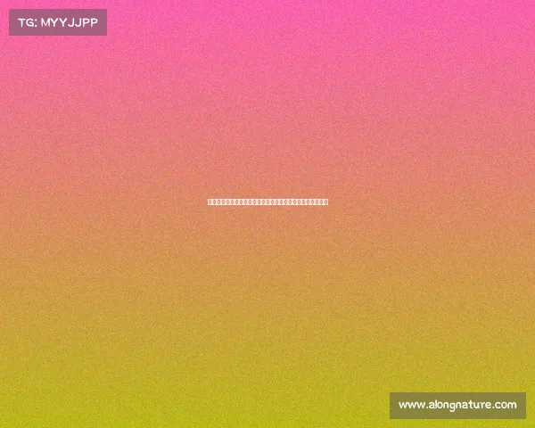 足球俱乐部引援预算分析与合理规划对球队竞争力的提升作用