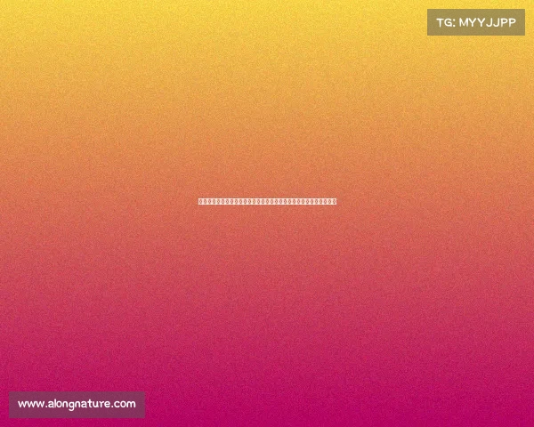 西甲精彩赛事全程直播平台，实时观看与互动，带你领略顶级足球盛宴