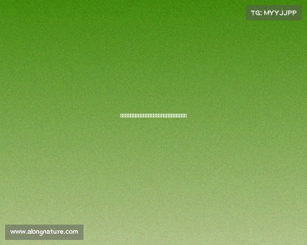 足球转会合同条款解析与市场趋势对俱乐部策略的影响分析