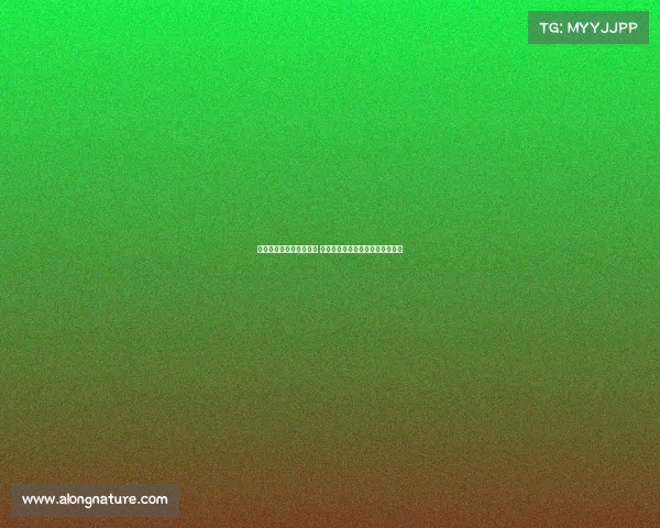 雨天高尔夫的挑战与乐趣 如何在湿滑的球场上保持稳定表现