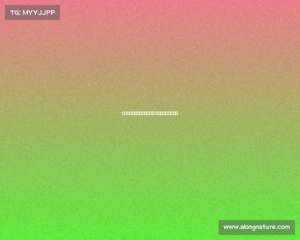 英超社区活动:激发足球激情 打造球迷互动新平台 英超社区活动:激发足球激情 打造球迷互动新平台