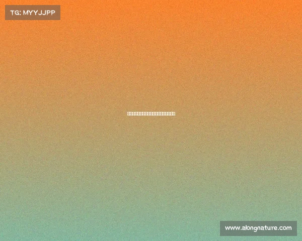 足球转会市场风险控制策略研究与实践探讨